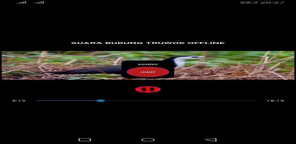 Header Banner