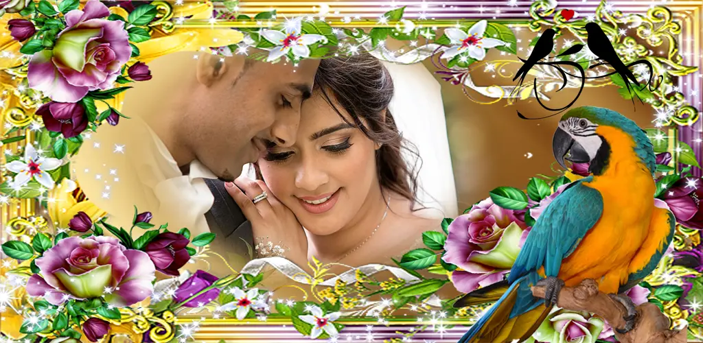 Header Banner