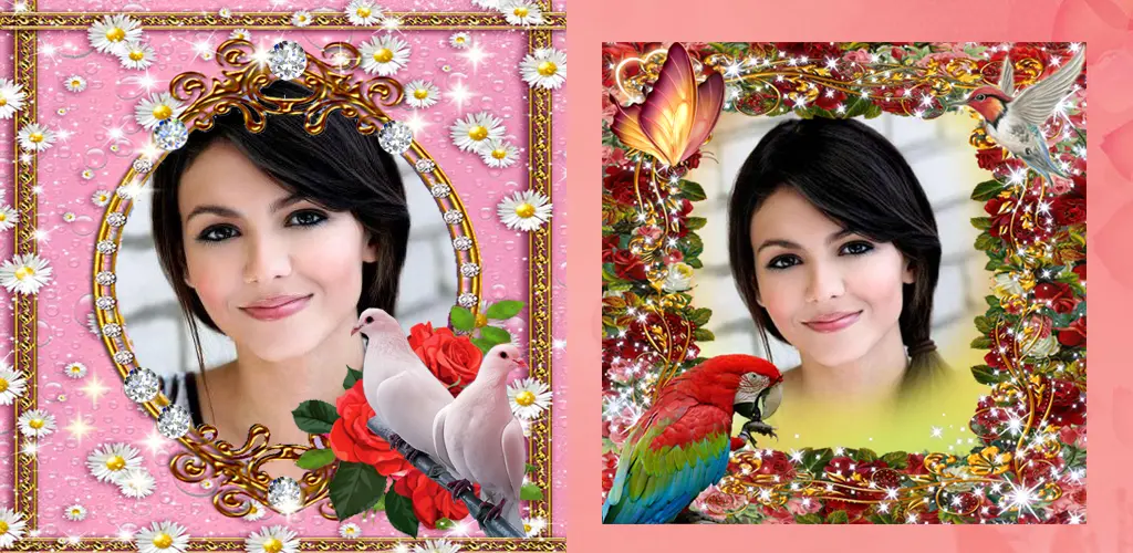 Header Banner