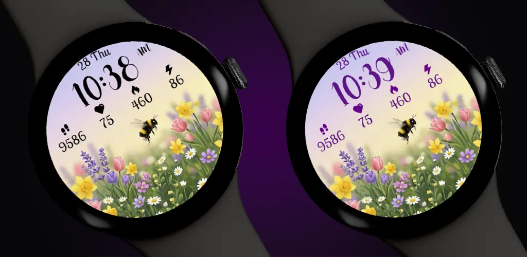Header Banner