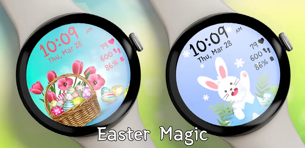 Header Banner
