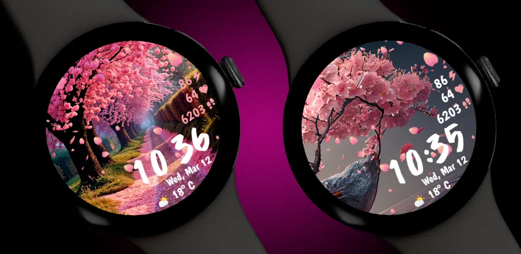 Header Banner