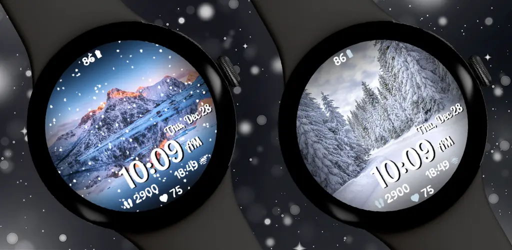 Header Banner