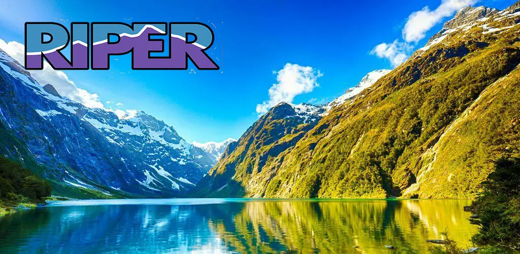Header Banner