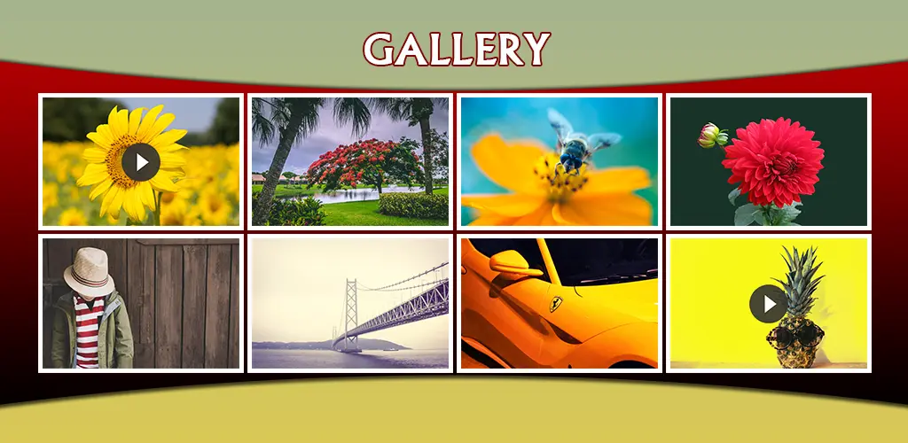 Header Banner