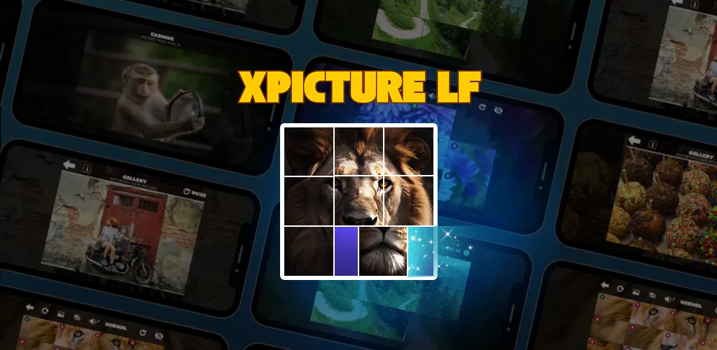 Header Banner