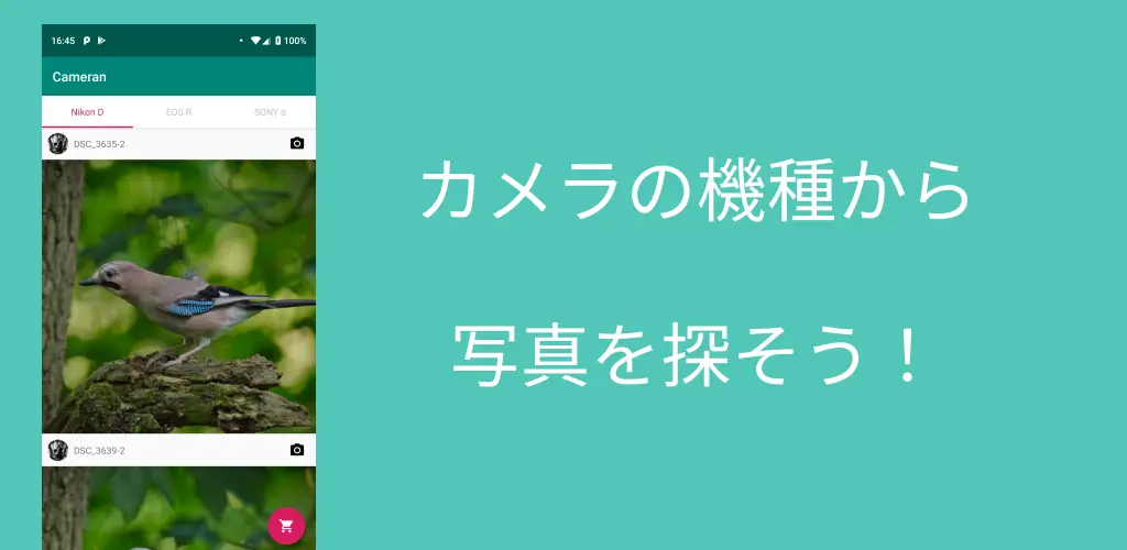 Header Banner