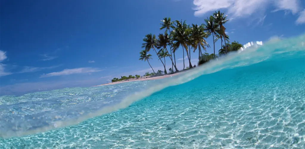 Header Banner