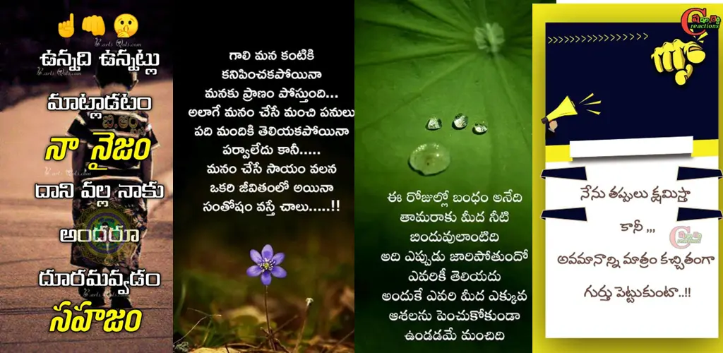 Header Banner