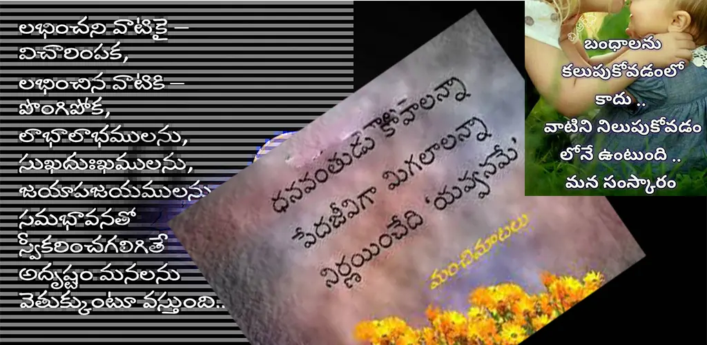 Header Banner