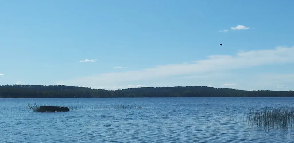 Header Banner