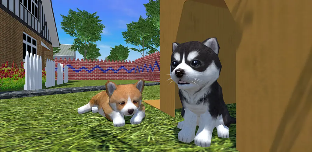 Header Banner