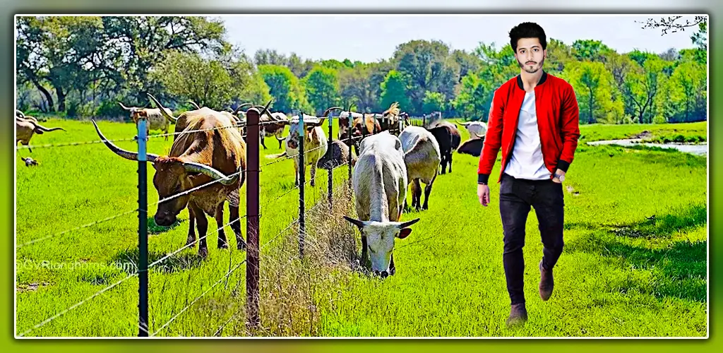 Header Banner