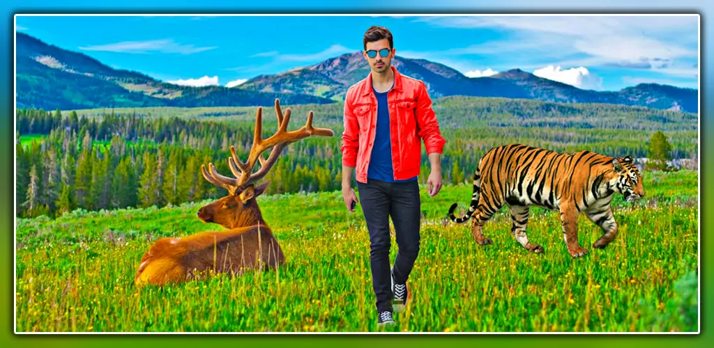 Header Banner