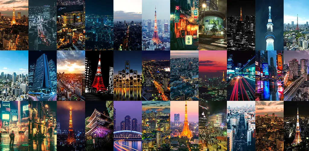 Header Banner