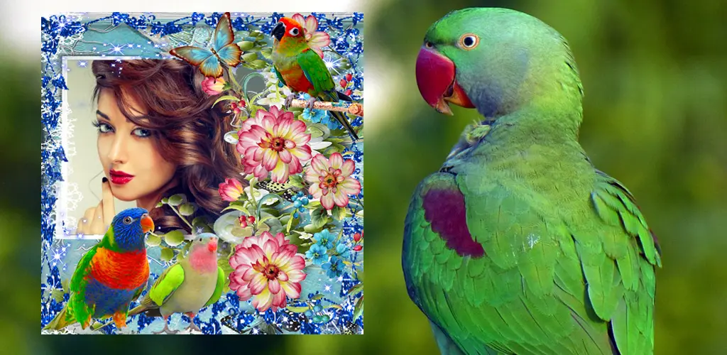 Header Banner