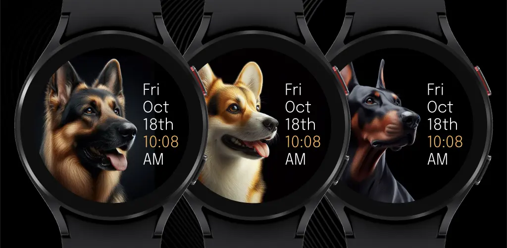Header Banner