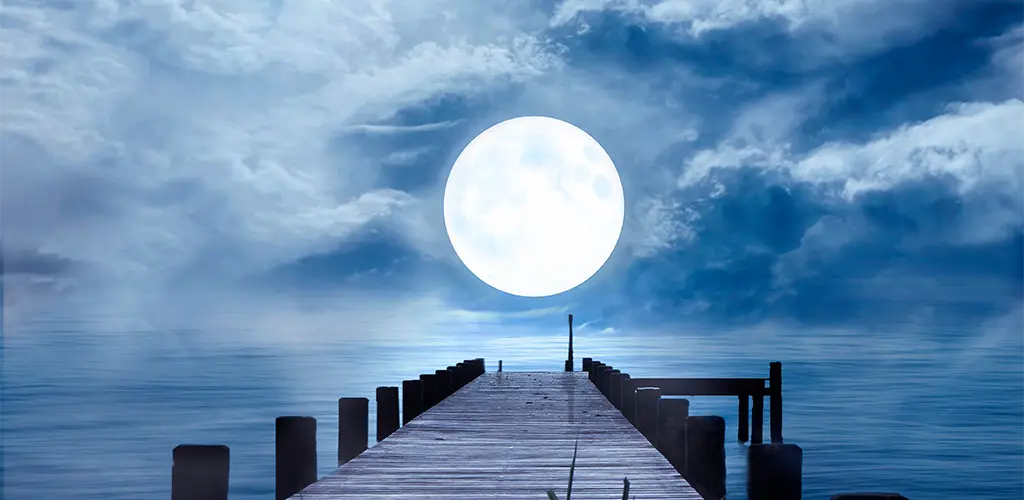 Header Banner