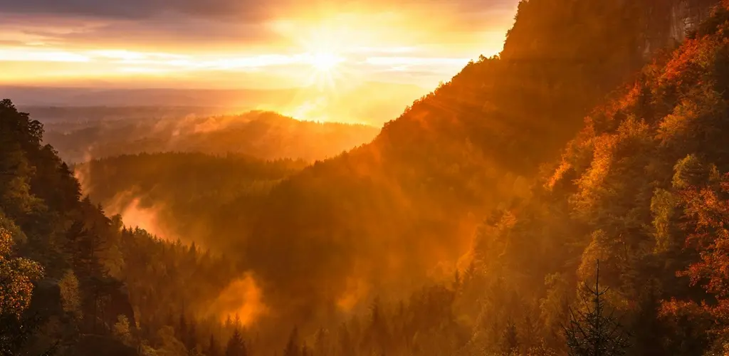 Header Banner