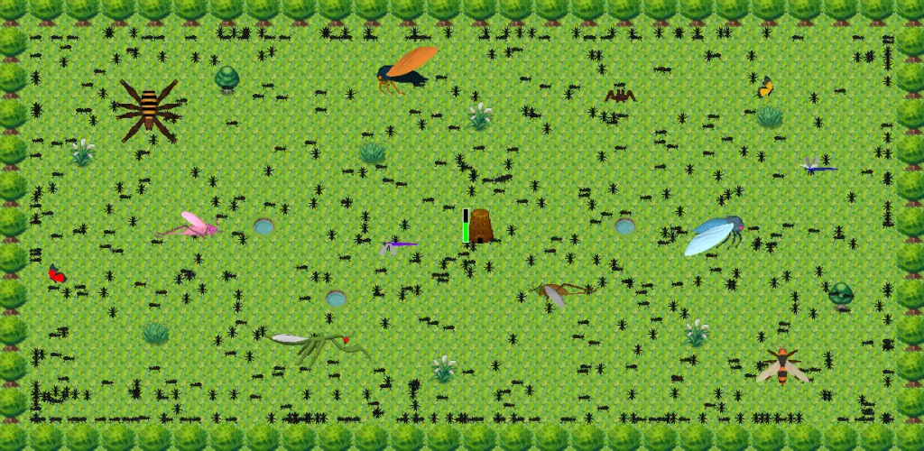 Header Banner