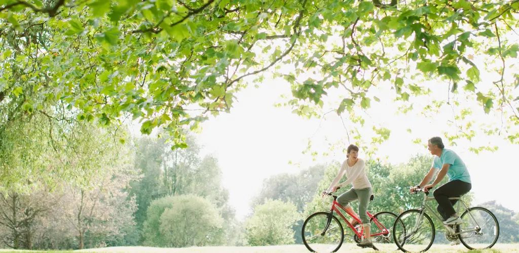 Header Banner