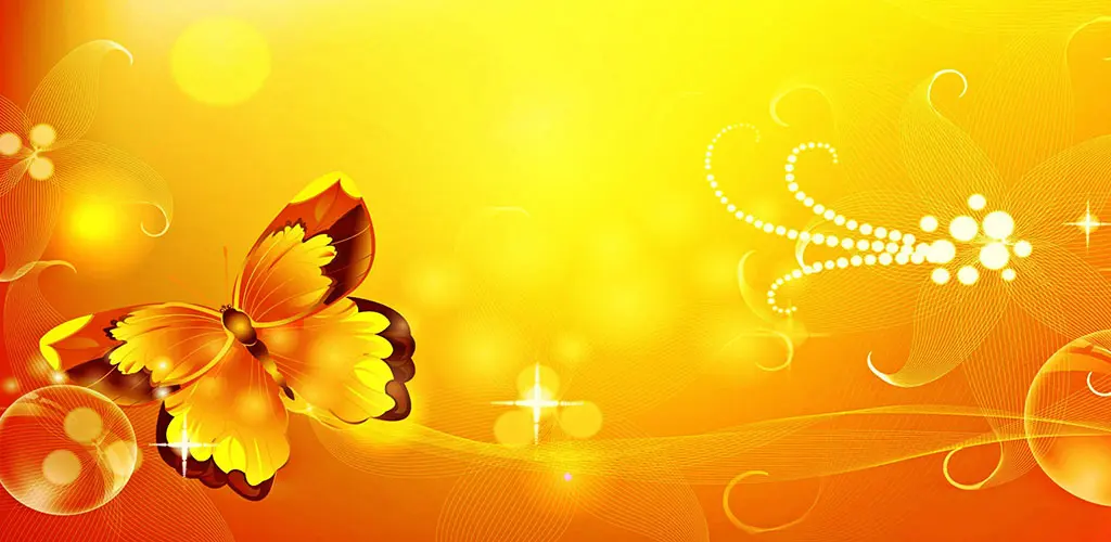 Header Banner