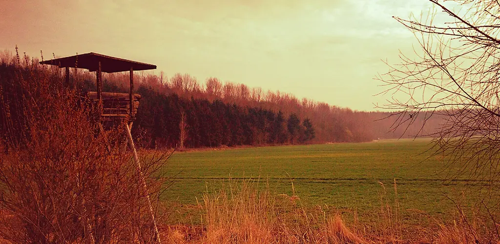 Header Banner