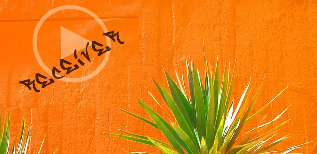 Header Banner