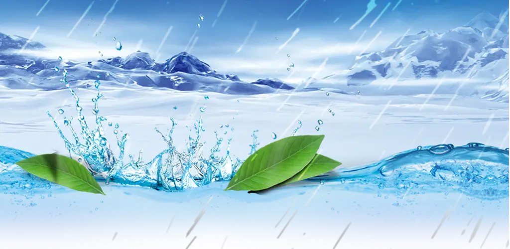 Header Banner