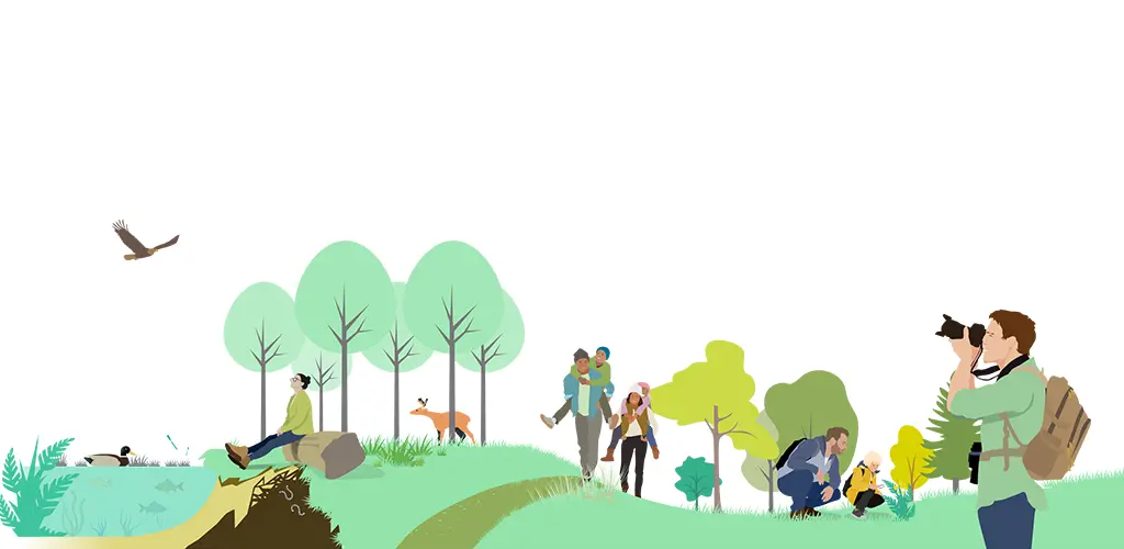 Header Banner