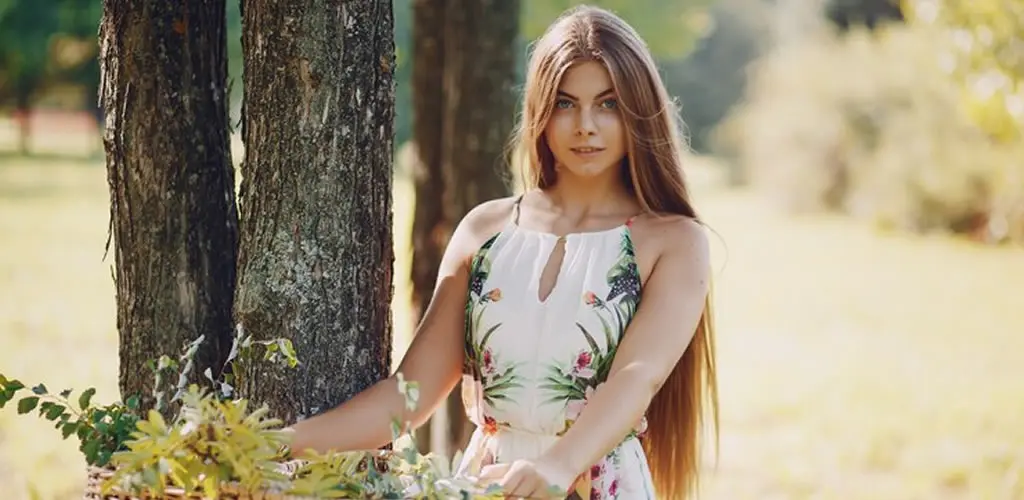 Header Banner