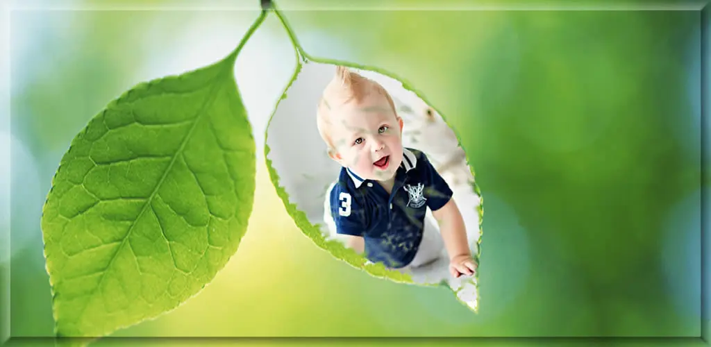 Header Banner