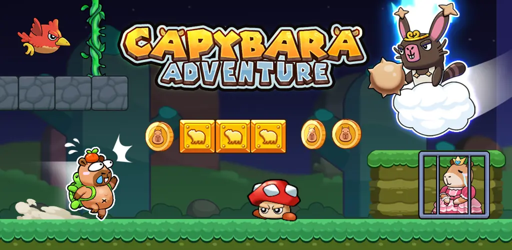 Header Banner