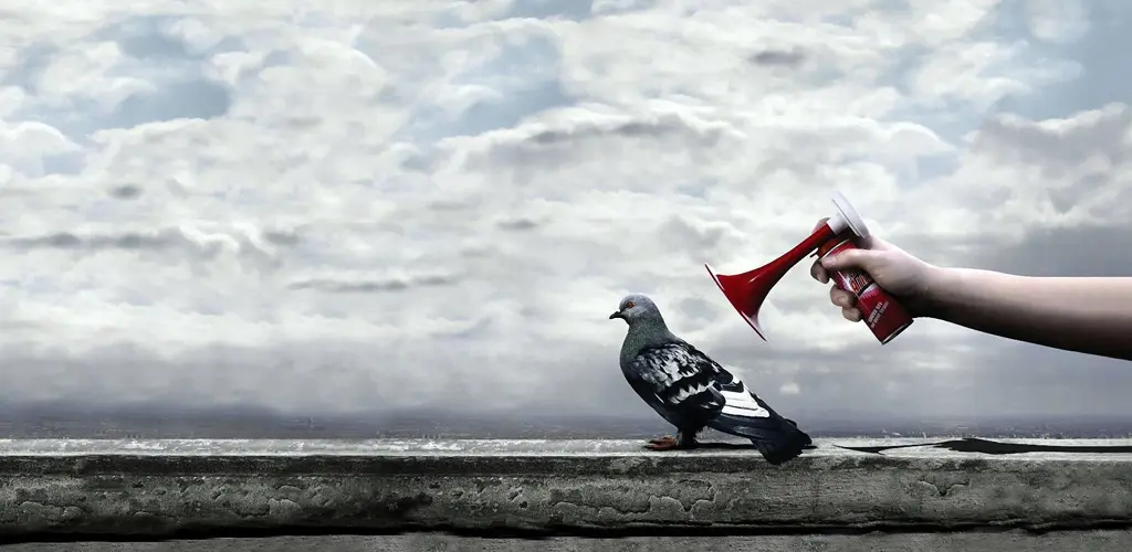Header Banner