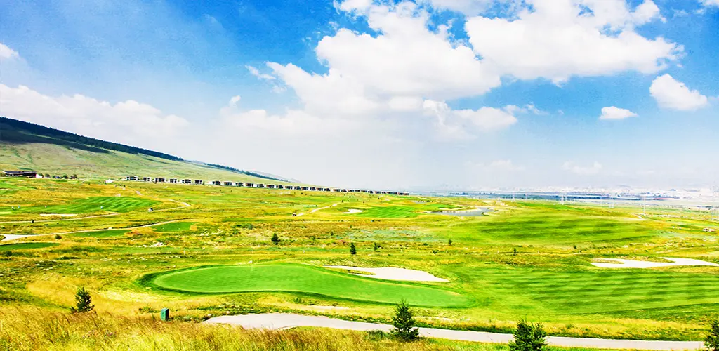 Header Banner