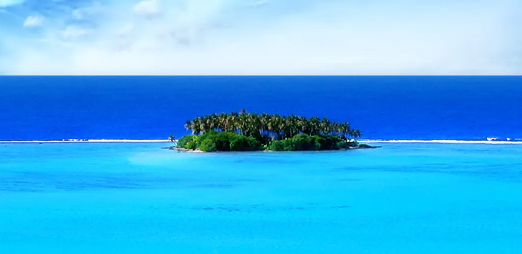 Header Banner