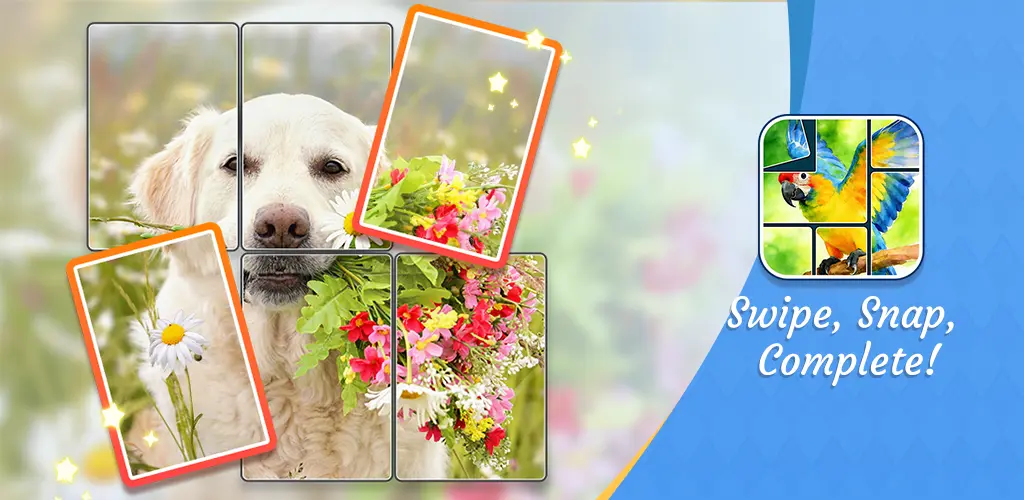 Header Banner