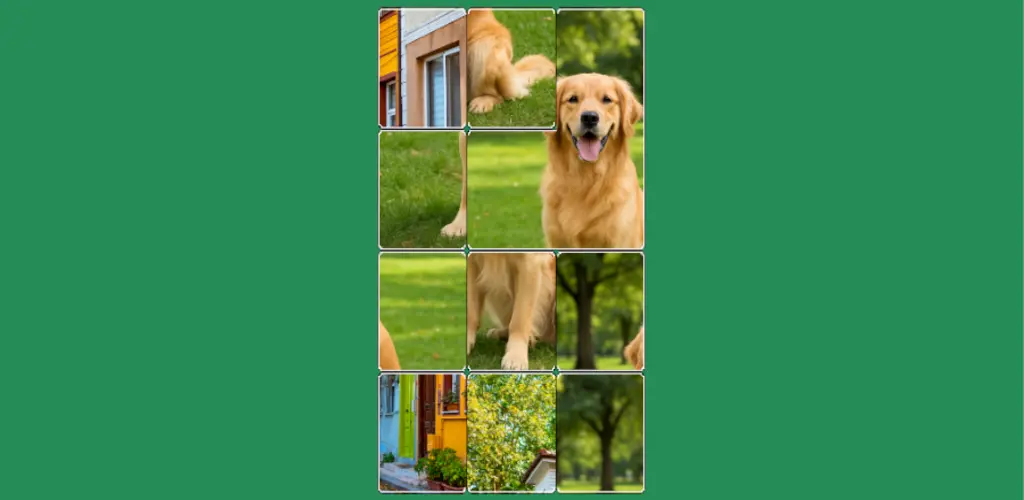 Header Banner