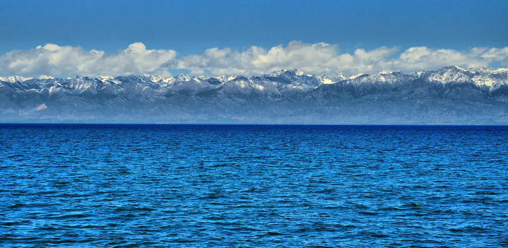 Header Banner