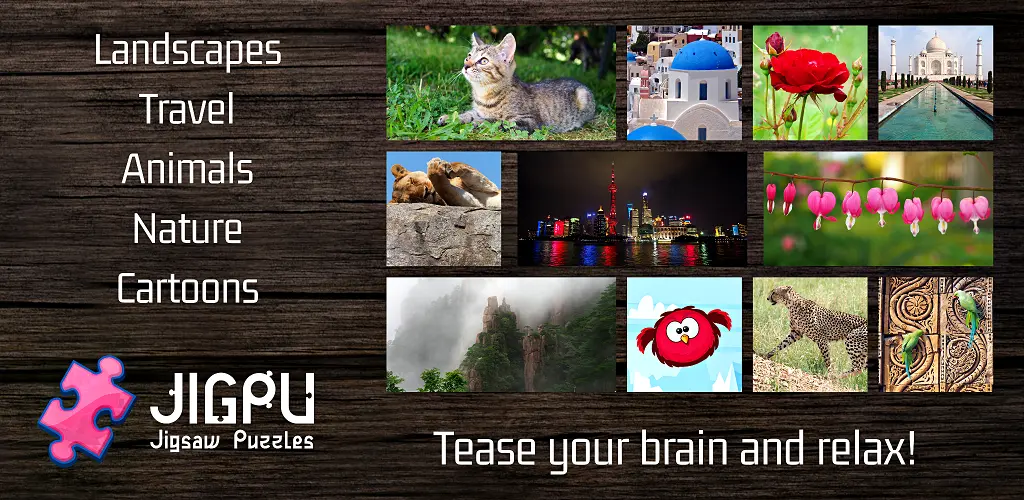 Header Banner