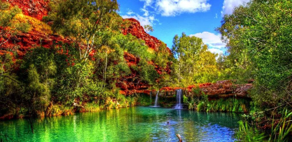 Header Banner