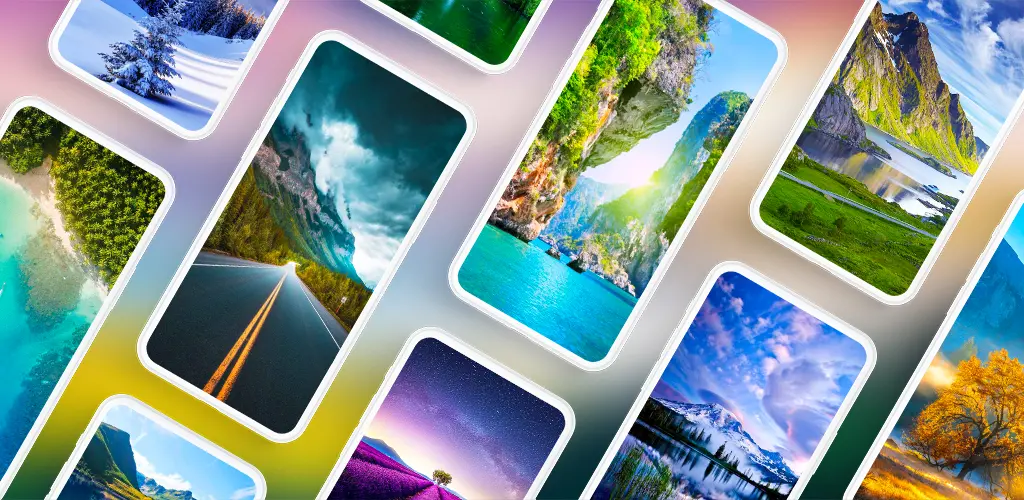 Header Banner