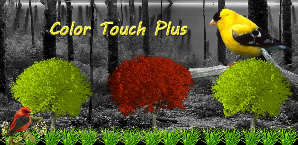 Header Banner