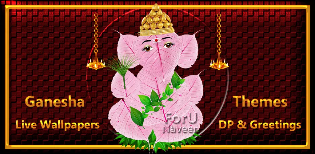 Header Banner