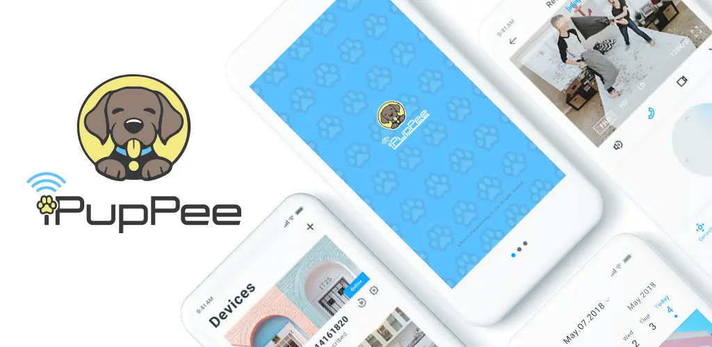 Header Banner