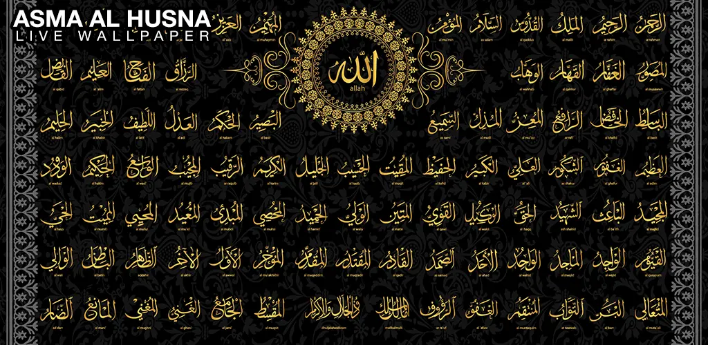 Header Banner