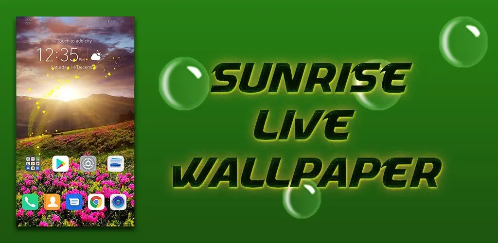 Header Banner