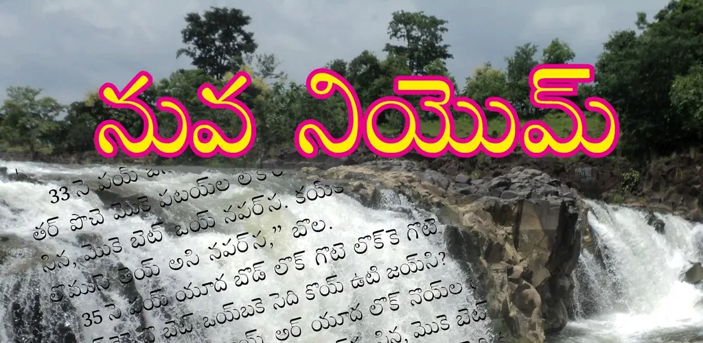 Header Banner