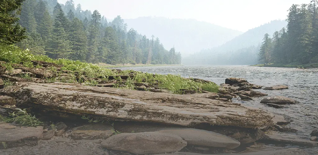Header Banner