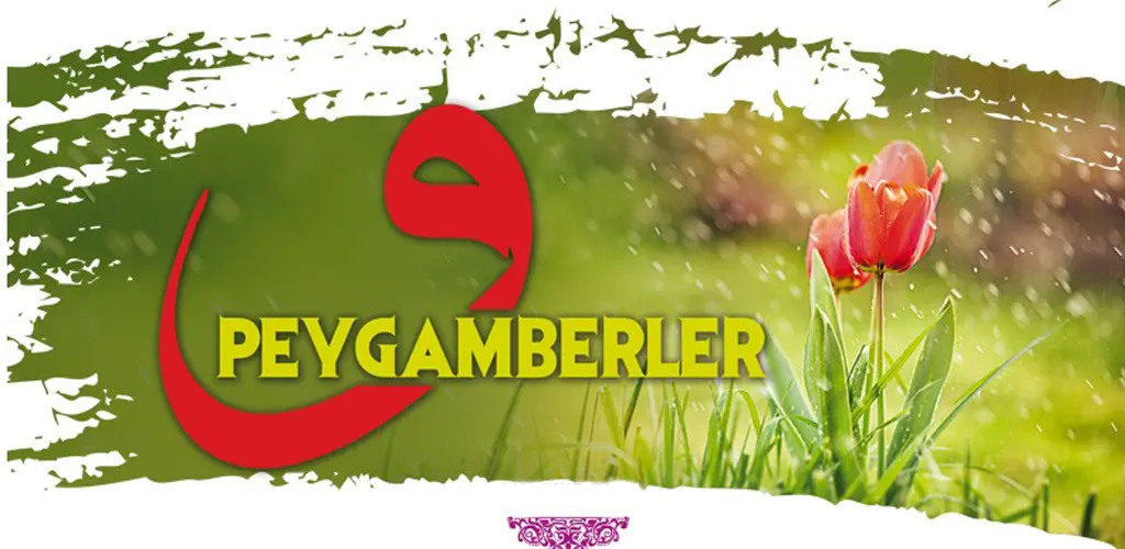 Header Banner